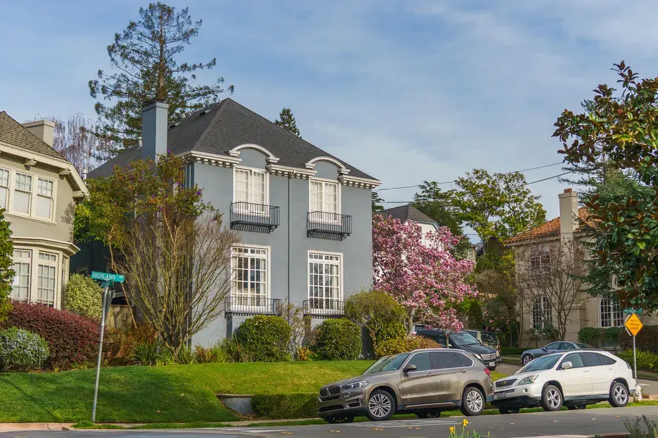 mold removal White City